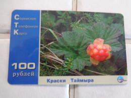 Russia Phonecard - Russia