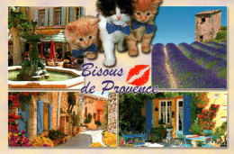 Bisous De Provence Avec Chat - Katzen