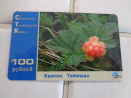 Russia Phonecard - Russie