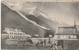 IN 23 - (74)  CHAMONIX -  LA GARE ET LE MONT BLANC - TROUPEAU DE VACHES AU  PRE  - 2 SCANS - Chamonix-Mont-Blanc
