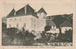 IN 23 - (74)  LAC D'ANNECY - DUINGT - CHATEAU D'HERE - 2 SCANS - Duingt