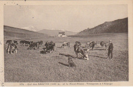 IN 24 -(74) COL DES ARAVIS ET LE MONT BLANC - TROUPEAU A L'ALPAGE -  2 SCANS - Autres & Non Classés