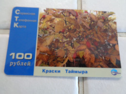 Russia Phonecard - Russia