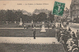 IN 26 -(75) PARIS - LES TUILERIES , LE CHARMEUR D'OISEAUX  - BADAUDS - 2 SCANS - Parks, Gardens