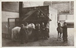 IN 26 - (75) EXPOSITION INTERNATIONALE  PARIS 1937 - UN GROUPE DU ROYAUME DE LILLIPUT - PONEYS - 2 SCANS  - Exhibitions