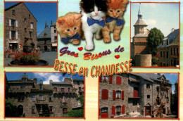 Gros Bisous De Besse En Chandesse Avec Chat - Besse Et Saint Anastaise