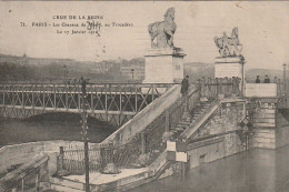 IN 28- (75) CRUE DE LA SEINE - PARIS - LES CHEVAUX DE MARLY , AU TROCADERO - AVIS D'EXPEDITION  - 2 SCANS - Inondations De 1910