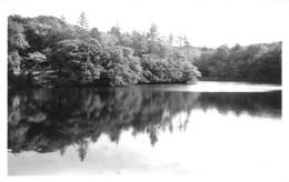 Étang Du Parc De Bodélio - MALANSAC N°36 G. ARTAUD - VENTE DIRECTE X - Belle Ile En Mer