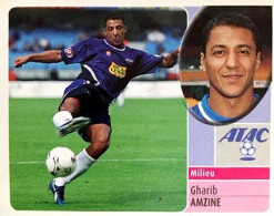 273 Gharib Amzine - ESTAC Troyes - Panini France Foot 2003 Sticker Vignette - Französische Ausgabe