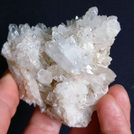 #U29 Schöne QUARZ XX (Castagnola, Val D'Aveto, Piacenza, Italien) - Mineralen