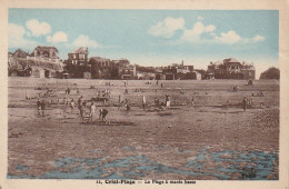 JA 7-(76)  CRIEL PLAGE - LA PLAGE A MAREE BASSE- RAMASSEURS DE COQUILLAGES - CARTE COLORISEE  - 2 SCANS - Criel Sur Mer