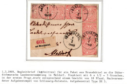 Norddeutscher Bund Paketbegleitbrief (Vorderseite) Brundbüttel - Meldorf #IB963 - Schleswig-Holstein