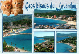 Gros Bisous Du Lavandou Avec Chat - Le Lavandou