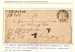 Braunschweig Paketbegleitbrief Portofreie Sendung Nach Wolfenbüttel #IB832 - Brunswick