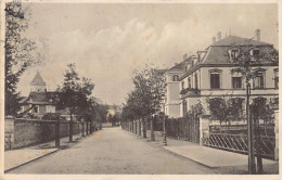 Colmar (68) 1915 Rue Bartholdi - Bartholdi Strasse - Colmar