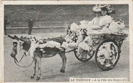 JA 11 -(76) LE TREPORT - A LA FETE DES BAIGNEURS - CARRIOLE TRACTE PAR UN ANE , FLEURIE  - 2 SCANS  - Le Treport