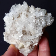 #U32 Schöne QUARZ XX (Castagnola, Val D'Aveto, Piacenza, Italien) - Minerales