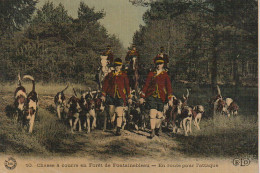 JA 14 -(77) CHASSE A COURRE EN FORET DE FONTAINEBLEAU - EN ROUTE POUR L' ATTAQUE - MEUTE DE CHIENS - CARTE COLORISEE - Fontainebleau