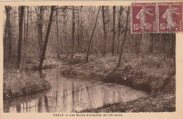 JA 15 -(77) VOULX - LES BORDS ENCHANTES DE L' ORVANNE  - 2 SCANS - Autres & Non Classés