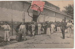 JA 16 -(77) FONTAINEBLEAU - QUARTIER CHATEAUX - LE PANSAGE - SOINS DES CHEVAUX  - 2 SCANS - Fontainebleau