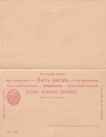 ENTIER   10  C    I CARTE PAYEE     PRECURSEUR - Stamped Stationery