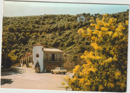 Pyrénées  Orientales   :  SOREDE : La  Reception , Voiture  Peugeot - Other & Unclassified