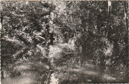 JA 22-(79) LE MARAIS POITEVIN - COULON - CONCHE DE LA TRIGALE  - 2 SCANS - Altri & Non Classificati