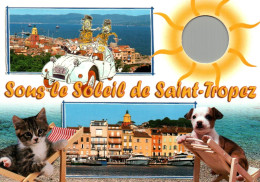 Sous Le Soleil De Saint-Tropez Avec Chat Et Chien - Saint-Tropez