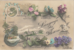 JA 25 - LANGAGE DES FLEURS  - CARTE FANTAISIE - PAYSAGE , TREFLE  , FER A CHEVAL - 2 SCANS - Fleurs