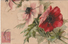 JA 25 - FLEURS : ANEMONES - CARTE FANTAISIE  - 2 SCANS - Fleurs