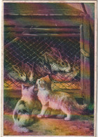 JA 26 - CARTE PUBLICITAIRE SAVON - COUPLE DE CHATONS DEVANT CLAPIER A LAPINS - 2 SCANS - Gatti