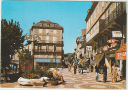 Correze  : BRIVE La  Gaillarde : Rue  Toulzac  1980 - Brive La Gaillarde