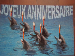 DAUPHINS Avec Bougies - JOYEUX ANNIVERSAIRE - Delphine