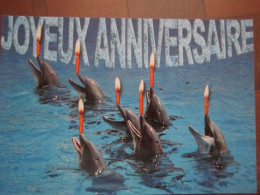 DAUPHINS Avec Bougies - JOYEUX ANNIVERSAIRE - Dolphins
