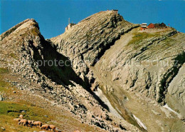 12623744 Saentis AR Gipfelblick Saentis - Other & Unclassified