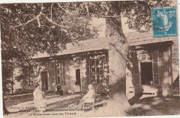 KO 12-(81) TREBAS - ETABLISSEMENT DES BAINS - LE RESTAURANT SOUS LES TILLEULS - CURISTES ET PERSONNEL - 2 SCANS - Autres & Non Classés