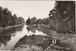 KO 16-(82) CASTELSARRASIN - LE BASSIN DU CANAL - DETENTE EN FAMILLE SUR L' HERBE , LANDAU - 2 SCANS - Castelsarrasin