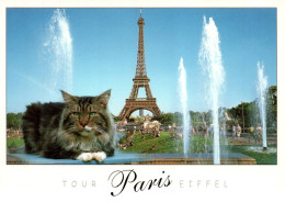 Paris - Tour Eiffel.avec Chat - Altri & Non Classificati