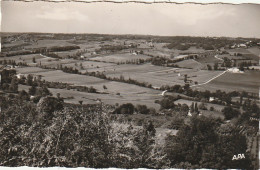 KO 16-(82) LAUZERTE - ECHAPPEE SUR BEAUCAIRE - 2 SCANS - Lauzerte