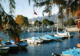 12615513 Muralto Lago Maggiore Hafenpartie Muralto - Other & Unclassified