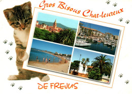 Gros Bisous Chat-leureux De Fréjus, Avec Chat - Frejus