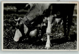 39740006 - Auf Der Alm - Cows