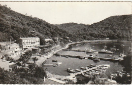 KO 21-(83) ILE DE PORT CROS - LE PORT ET L' HOSTELLERIE PROVENCALE - 2 SCANS  - Autres & Non Classés