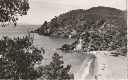 KO 24-(83) CAVALAIRE SUR MER - PLAGE ET CALANQUES DE BON PORTEAU - 2 SCANS - Cavalaire-sur-Mer