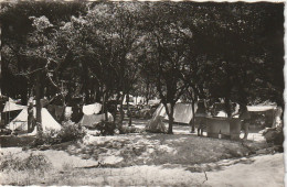 KO 24-(83) LA CAPTE D' HYERES - LE CAMPING - CAMPEURS ET LEURS TENTES - 2 SCANS - Hyeres