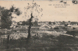 LE 4-(85) SAINT JEAN DE MONTS - VUE DE LA FORET - 2 SCANS - Saint Jean De Monts