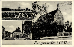CPA Sengwarden Wilhelmshaven In Niedersachsen, Kirche, Windmühle, Ortspartie, Rinder - Other & Unclassified