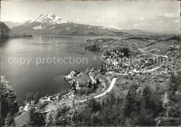 12606168 Weggis Vierwaldstaettersee Panorama Mit Pilatus Weggis - Sonstige & Ohne Zuordnung