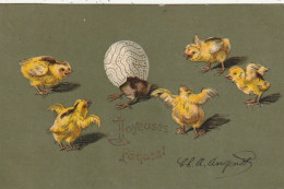 LE 6- JOYEUSES  PAQUES - ECLOSION D'UN OEUF AU MILIEU DE POUSSINS - CARTE GAUFREE - 2 SCANS - Pasqua