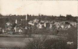 LE 7-(86) BRIGUEIL  LE CHANTRE - PANORAMA - 2 SCANS  - Andere & Zonder Classificatie